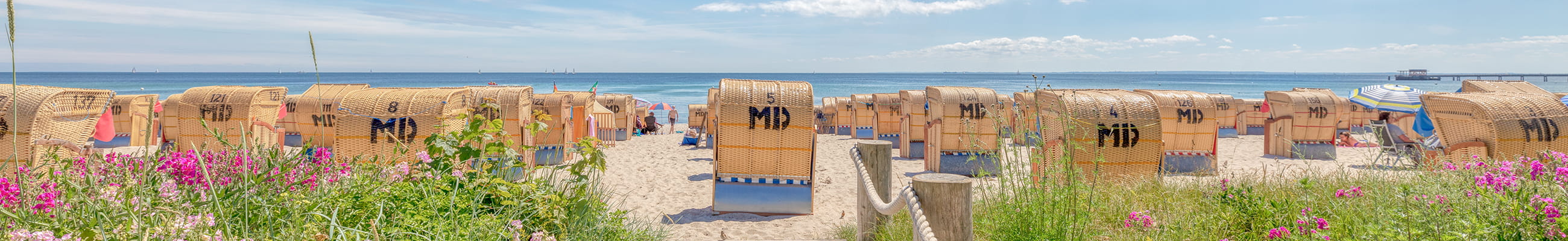 Idyllischer Sandstrand in Kellenhusen mit Strandkörben, Dünen und weitem Ostseepanorama bei Sonnenschein.